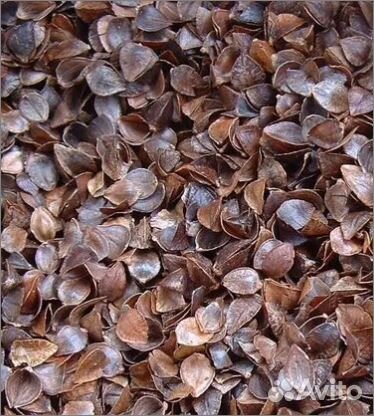 Лузга (набивка, эко наполнитель)