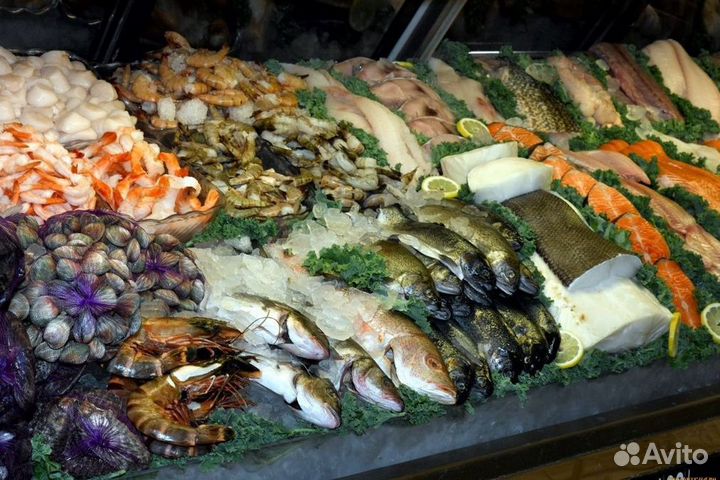 Ваша успешная франшиза рыбного магазина