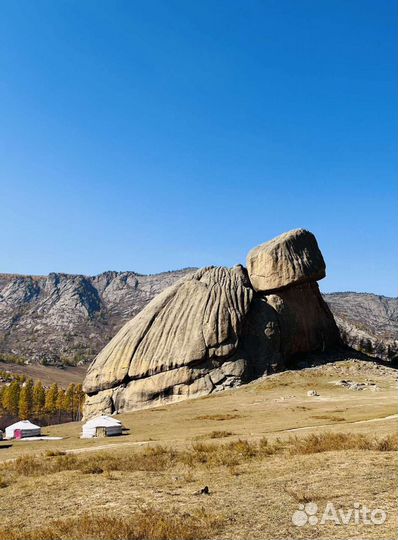 Тур в Монголию с Иркутска