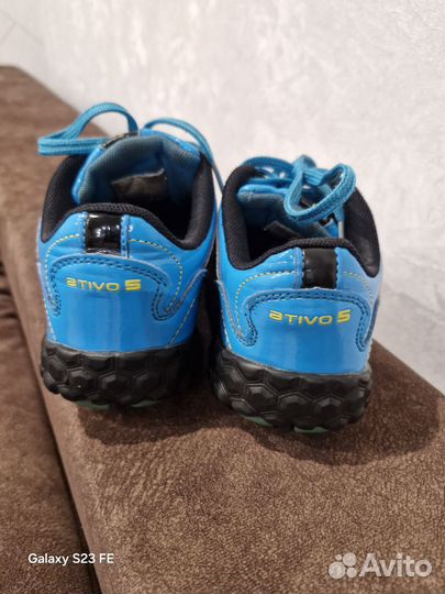 Сороконожки