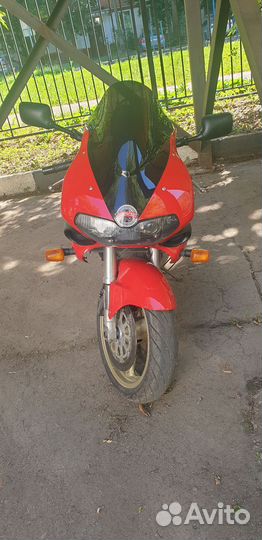 Suzuki TL1000S