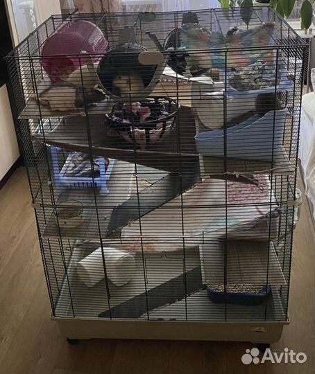 Клетка большая