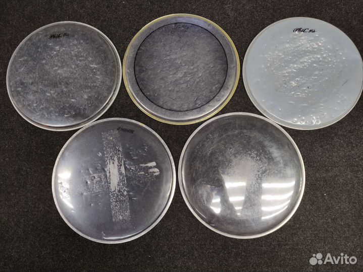 Пластики для барабанов бу 10,12,13,14 Remo, Evans