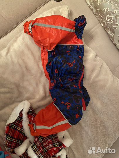 Одежда для маленьких собак