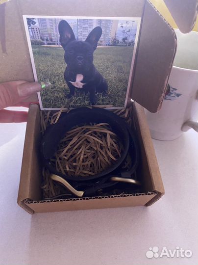 Кожаный ошейник для собак