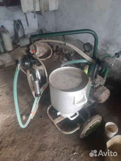 Доильный аппарат
