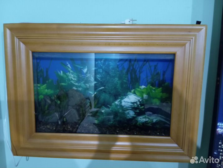 Настенный аквариум