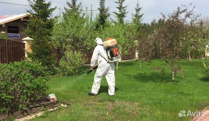 Обработка от клещей кротов комаров борщевика ос