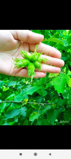 Дом 62 м² на участке 19 сот.