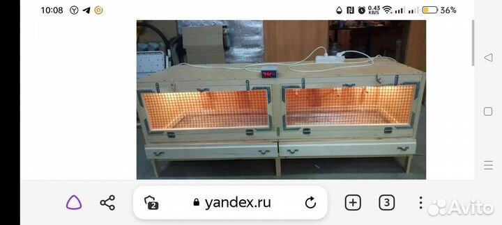 Брудер для цыплят