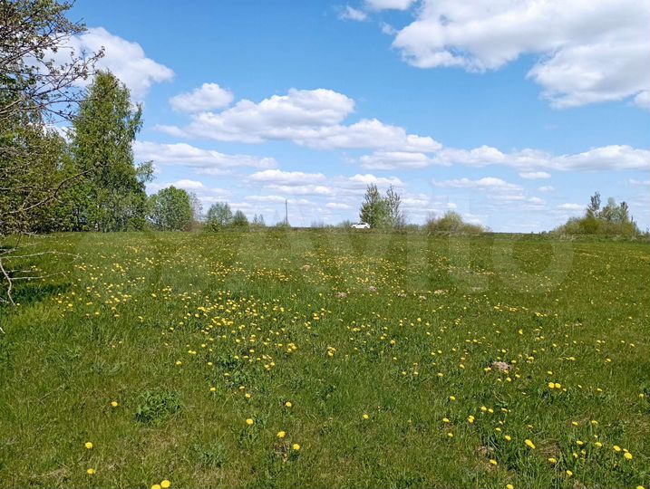 Участок 42 сот. (ИЖС)