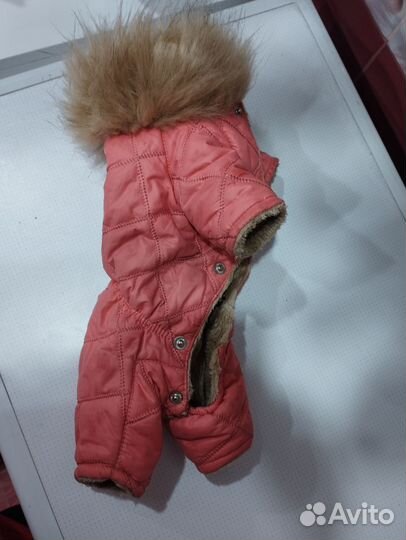 Комбинезон для маленькой собаки девочки