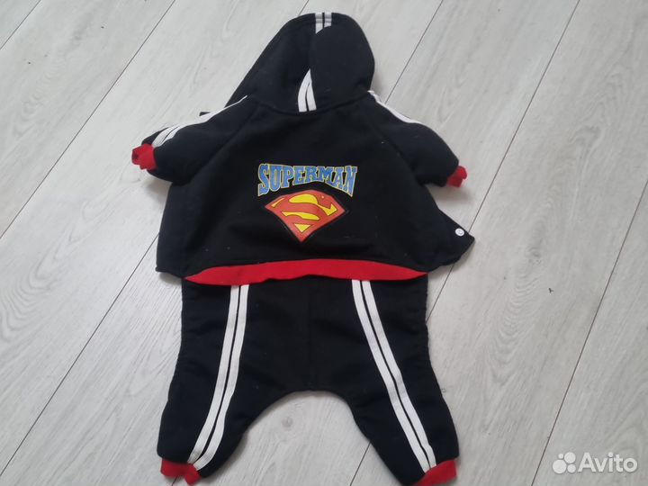 Костюм для собаки