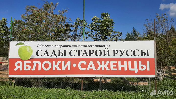 Разнорабочий