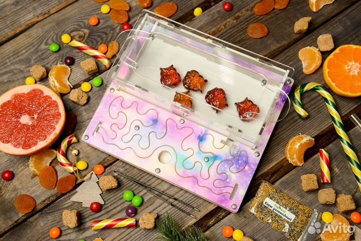 Формикарий/ Подарок для ребенка/ Муравьиная ферма