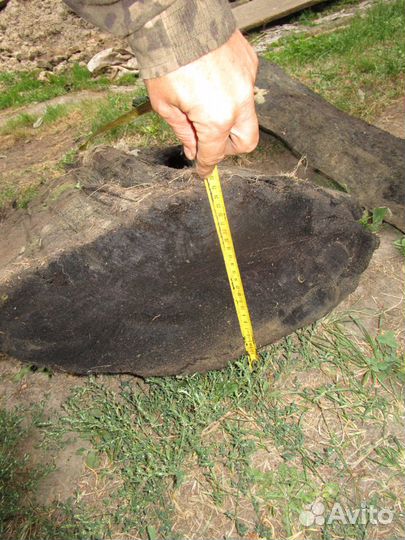 Мореный дуб