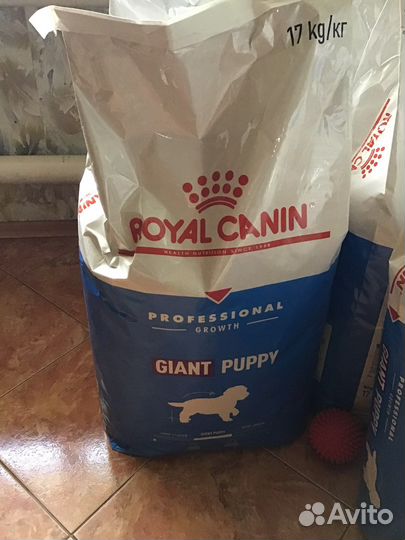 Сухой корм для собак премиум-класса