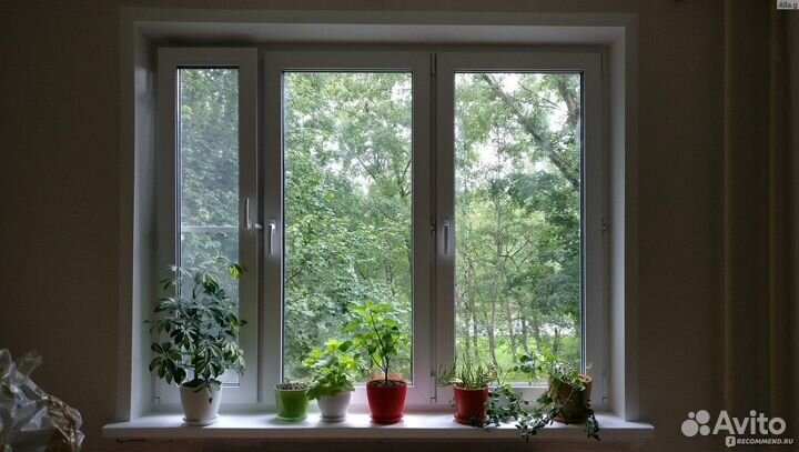 Пластиковые окна