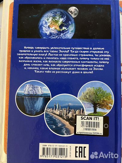 Дмитрий Кошевар: Планета Земля