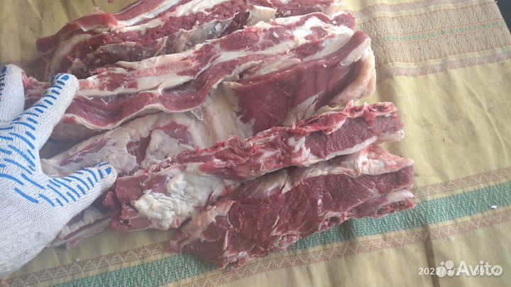 Домашнее мясо. Бычок