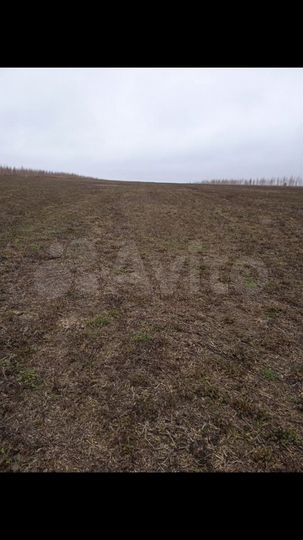 Участок 4 га (СНТ, ДНП)