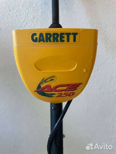 Металлоискатель garrett ace 250 USA(аренда)