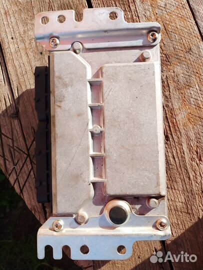 Продам мозги