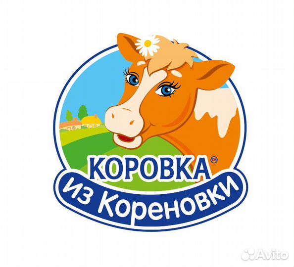 Старший торговый представитель