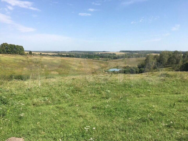 Участок 20 сот. (ИЖС)