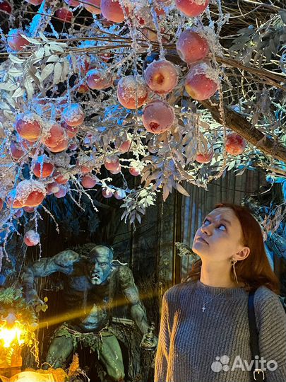 Ведущий-аниматор, сценарист