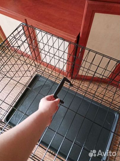 Клетка вольер (собака,кошка, кролик) в аренду