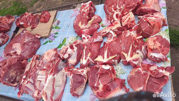 Мясо свинина домашняя не жирная