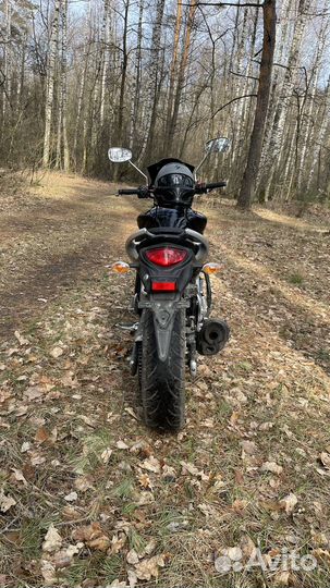 Suzuki Gladius 400