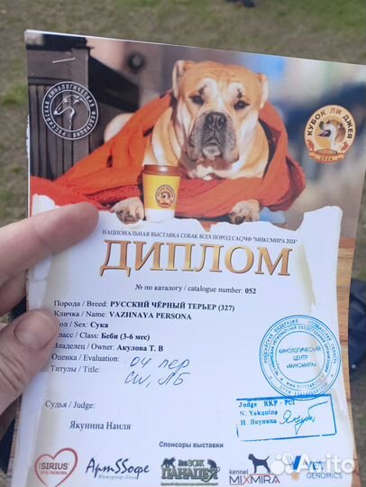 Русский черный терьер щенки