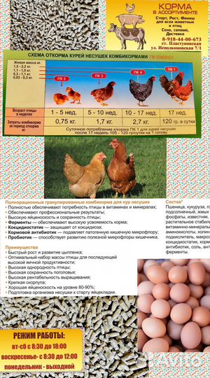 Старт Рост Финиш