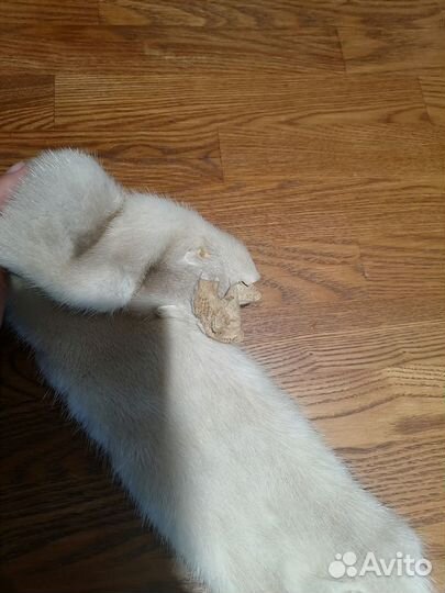 Шкурки меха норки