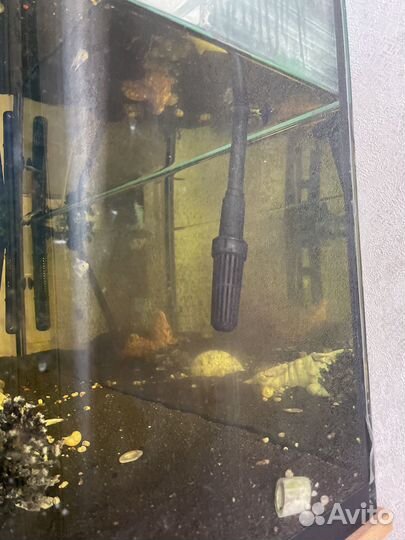 Аквариум с тумбой 240 литров