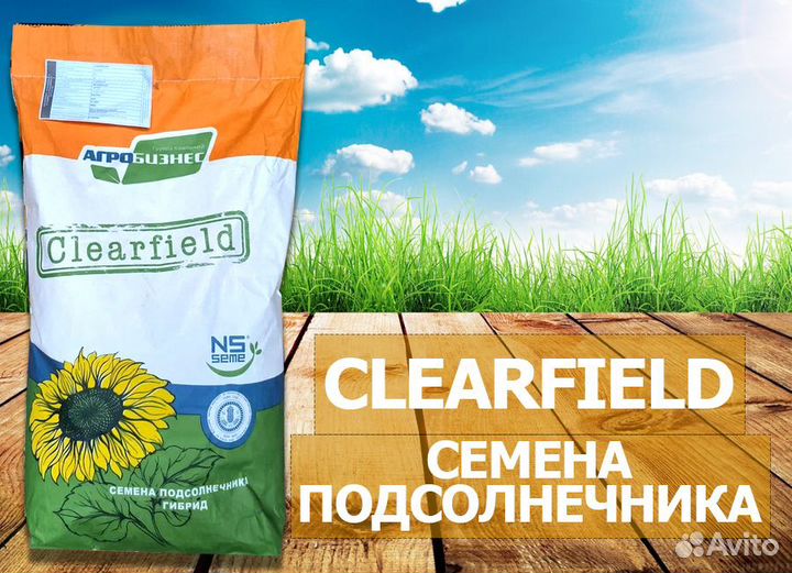 Семена подсолнечника нс х 6341 (евролайтинг)