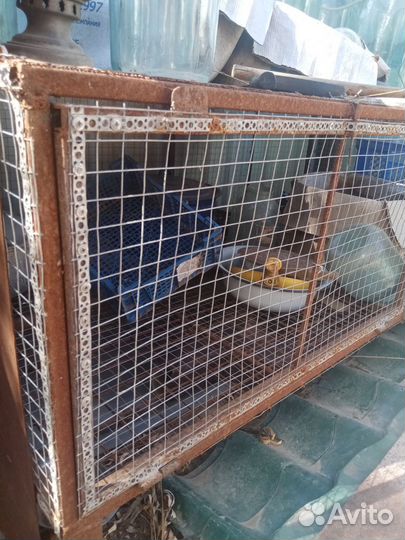 Клетка для животных бу