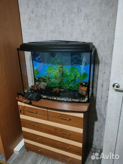 Аквариум