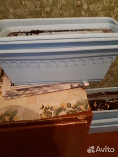 Горшки для цветов