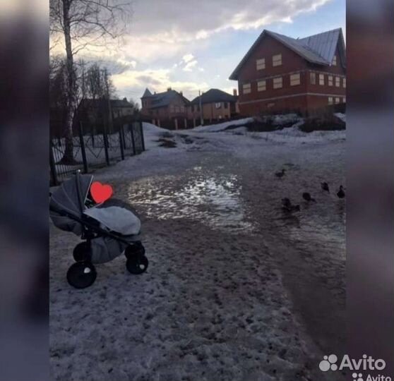 Коляска zippy tutis 3 в 1 Нью Silver+