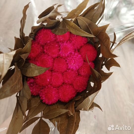 Шишки декоративные, сухоцветы