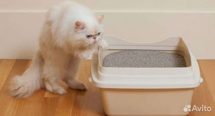 Кошачий наполнитель комкующийся