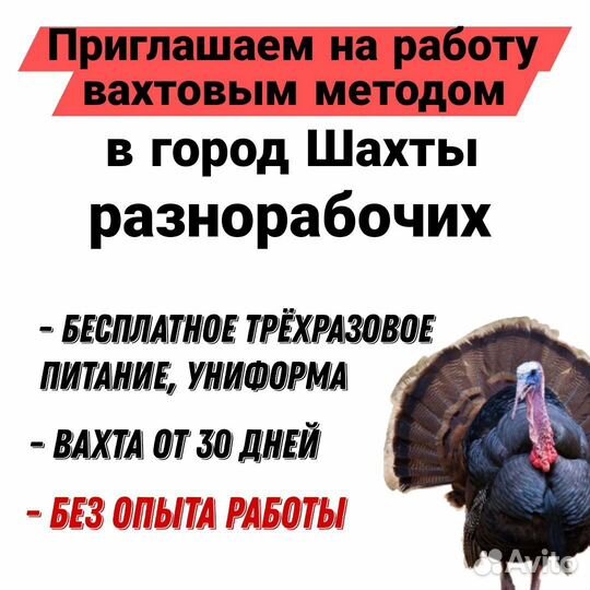 Разнорабочий/птицефабрика/вахта