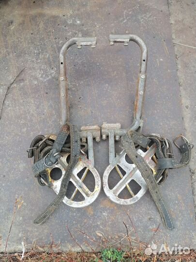 Когти Лазы монтерские