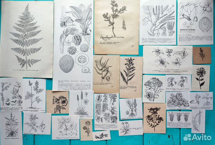 Наборы чёрно белые, фотореквизит