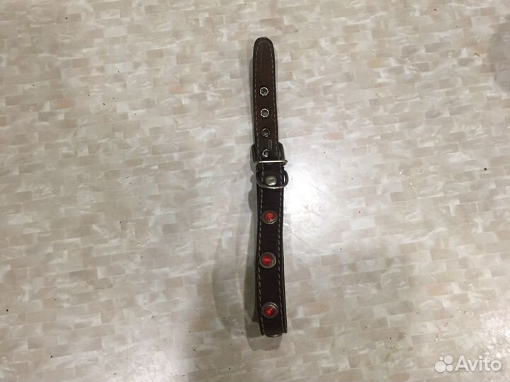 Ношейник Кожа 46. 3см Отл смотр