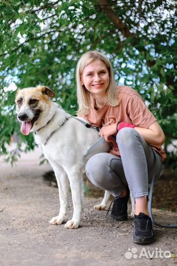 Приходи в приют за другом