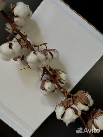 Фотоальбом большой 200 фото 10х15